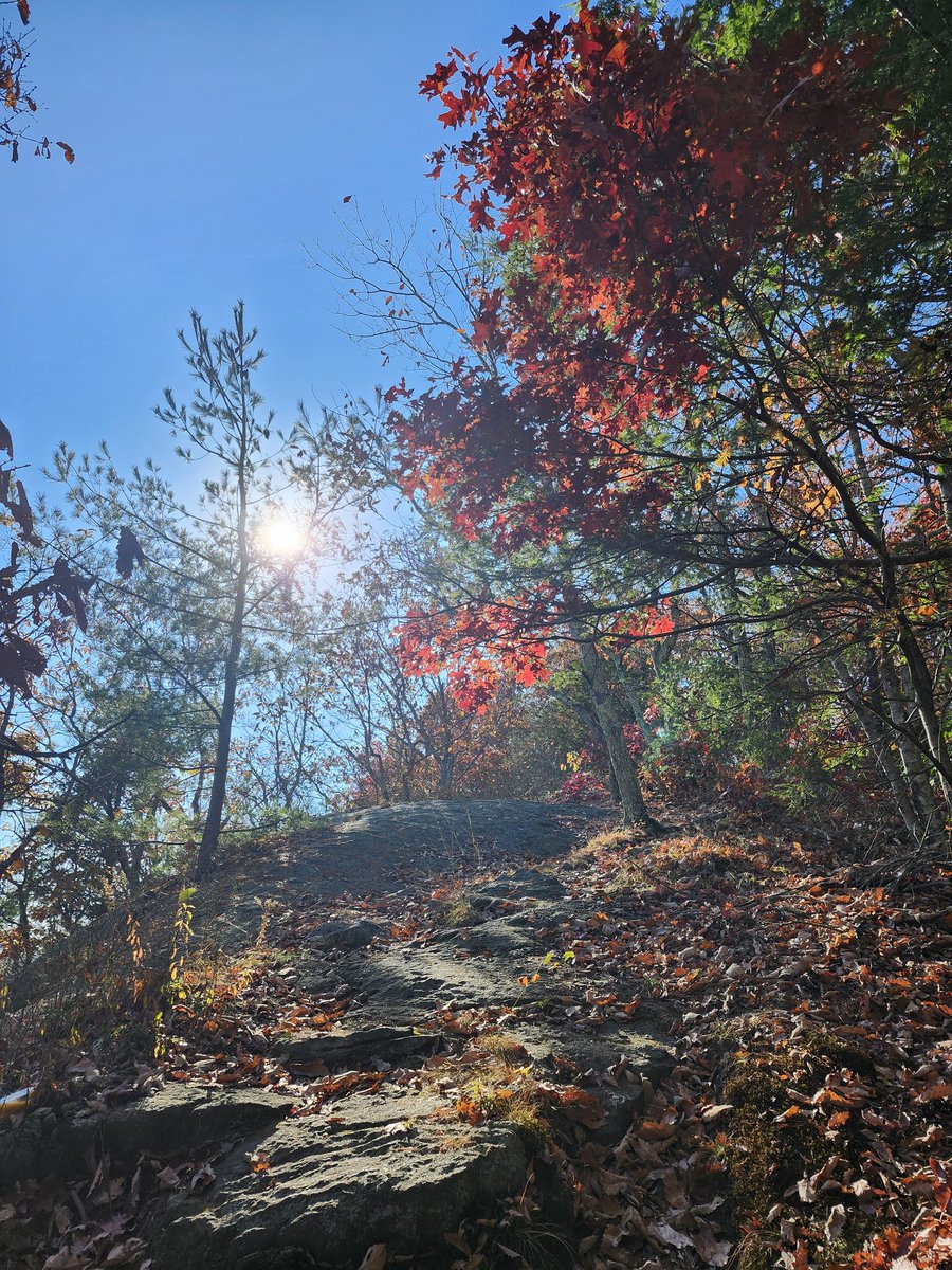 Novogasaurus's tweet photo. Breathtaking views during peak foliage on the Tobys Rock Mountain Outer Loop at Naugatuck State Forest. Some of the best sights during this entire #CTSTL2024 campaign.

I also walked by a series of falls on my way up and spotted 2 black vultures. A great day in the outdoors! https://t.co/8OkKWLQjB7
