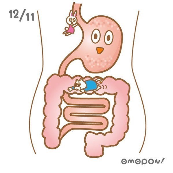 omoponpon's tweet photo. ☀️おはポニック〜！🎄☃

12月11日は〜 

【胃腸の日】なんだ〜よ👨‍⚕️🏥

“胃腸へのいたわりの気持ちを持つ日”として、
 12/11を「胃にイイ日（胃腸の日）」と定めてたんだって〜！😘

https://t.co/5LX6mqfePe
#モザイクポスター
#胃腸 #胃 #腸 https://t.co/O0AisLG5o1