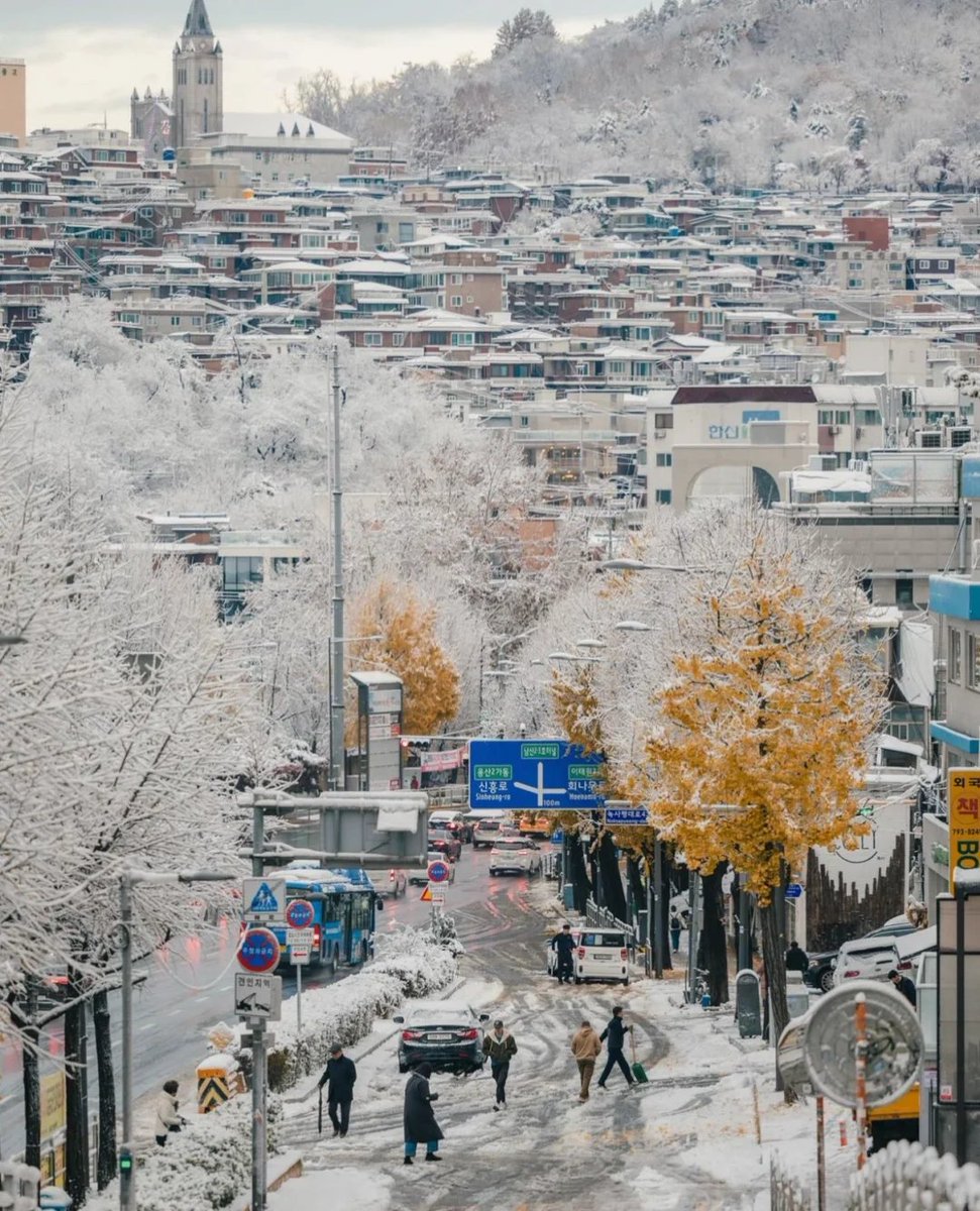 ソウルの初雪❄️~よく撮れましたね