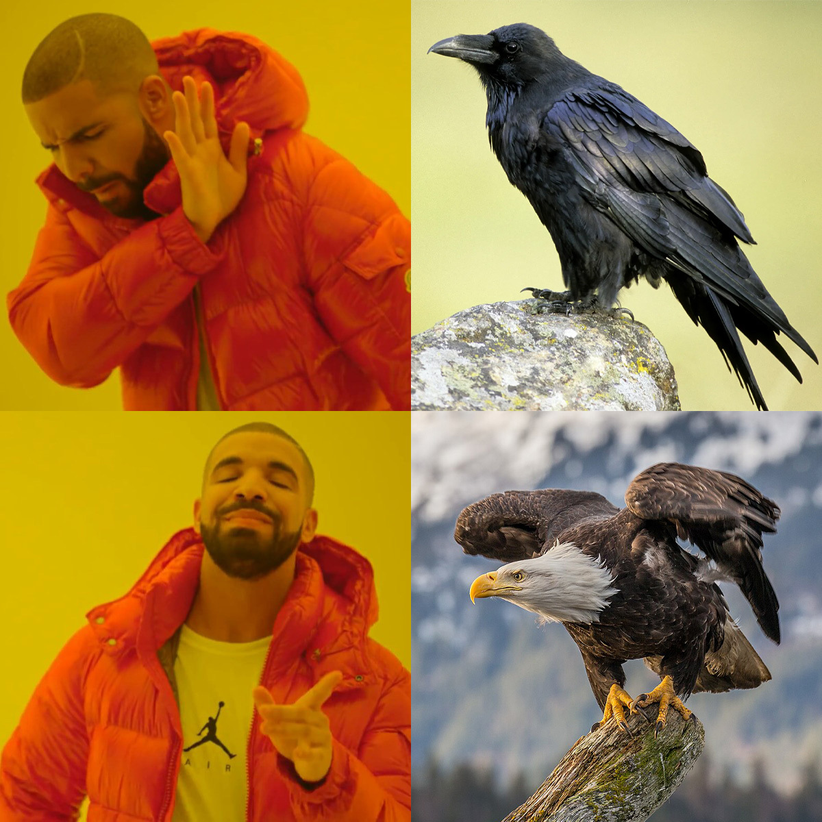 We are THE Birds 😏