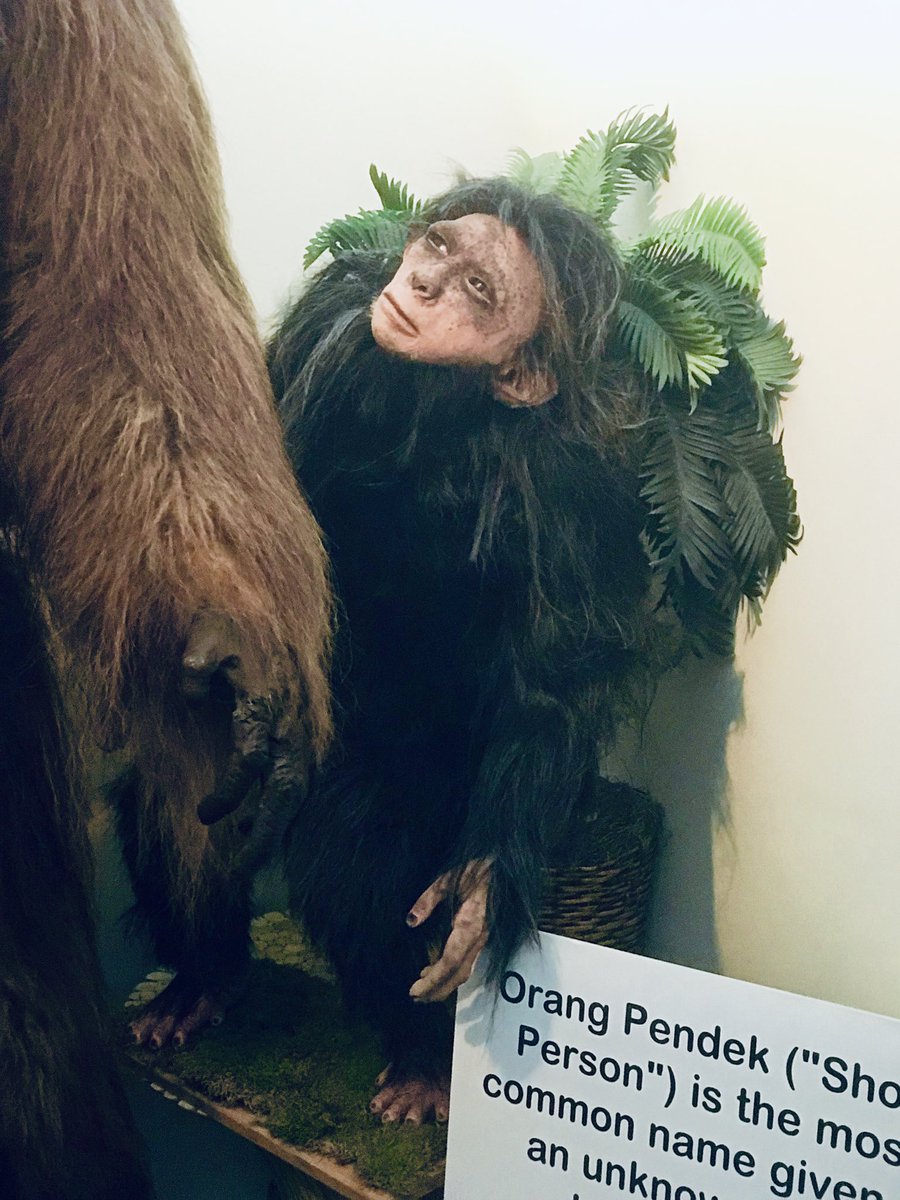 WVbigfootmuseum @lifemaker2003 The International @CryptozooMuseum  @CryptoLoren has an attractive display exhibit of the Orang Pendek in  Portland ME., image size:900x1200