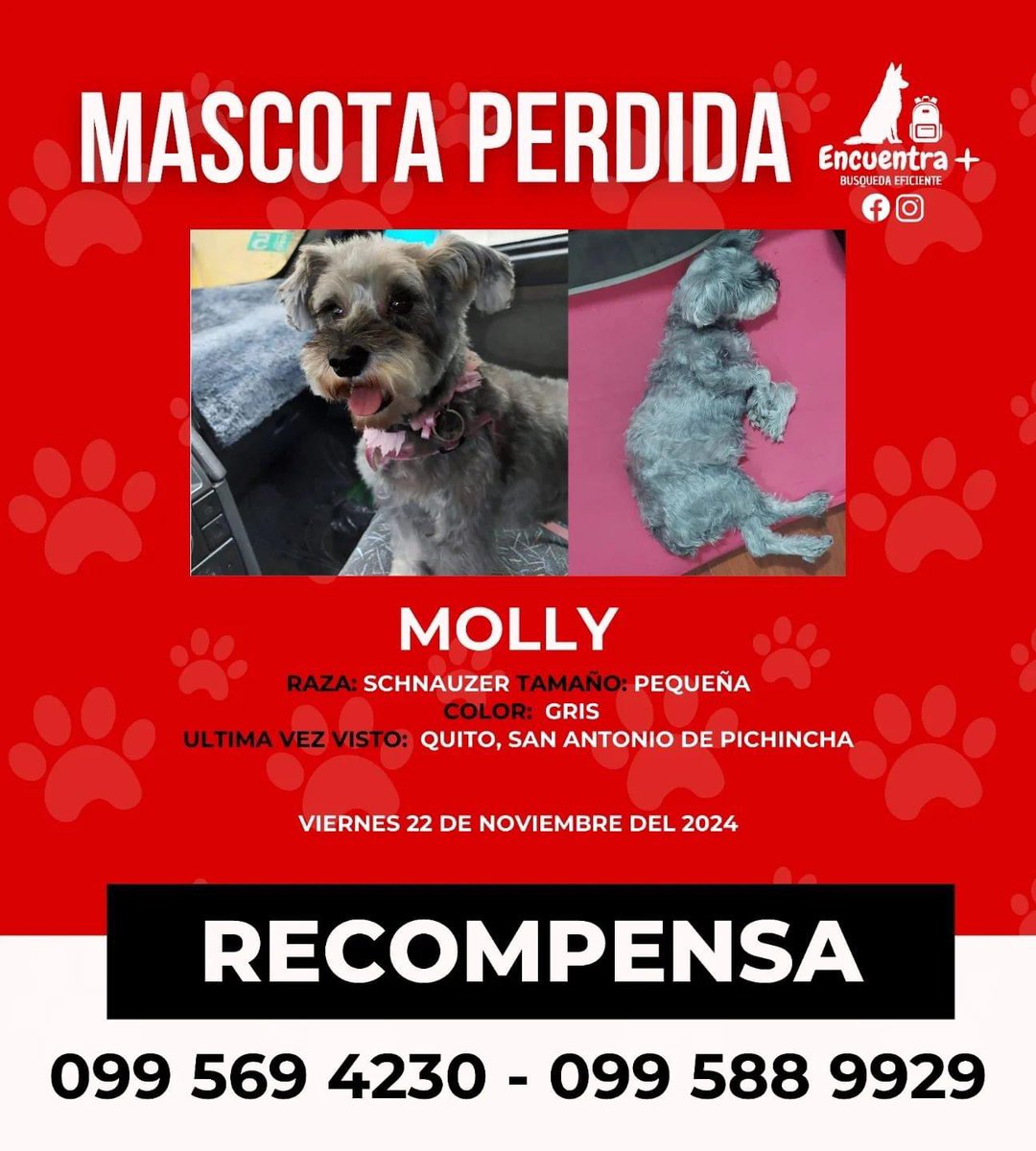 paula_lt4's tweet photo. Por favor ayúdame a compartir. 

#Quito #ec https://t.co/2UBGXN9rHd