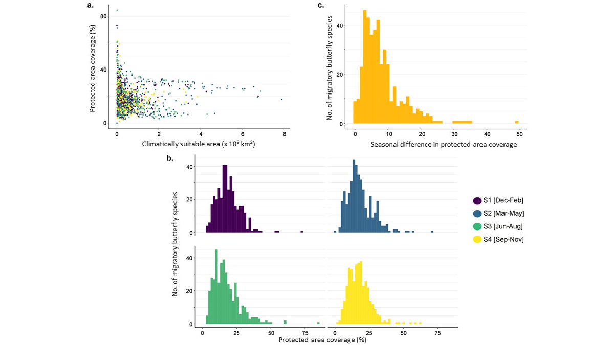 Shawan Chowdhury (শাওন চৌধুরী) (@shawan_c) on Twitter photo Our new <a href="/ConBiology/">Conservation Biology</a> paper shows that current protected areas are inadequate for
👉84% of migratory butterfly species in at least one season
👉45% of species in all seasons. (1/6)
<a href="/idiv/">iDiv Biodiversity Research</a> <a href="/UNBiodiversity/">UN Biodiversity</a> <a href="/Society4ConBio/">SCB</a> <a href="/BonnConvention/">Convention on Migratory Species (CMS)</a>
LINK: doi.org/10.1111/cobi.1… Our new <a href="/ConBiology/">Conservation Biology</a> paper shows that current protected areas are inadequate for
👉84% of migratory butterfly species in at least one season
👉45% of species in all seasons. (1/6)
<a href="/idiv/">iDiv Biodiversity Research</a> <a href="/UNBiodiversity/">UN Biodiversity</a> <a href="/Society4ConBio/">SCB</a> <a href="/BonnConvention/">Convention on Migratory Species (CMS)</a>
LINK: doi.org/10.1111/cobi.1…