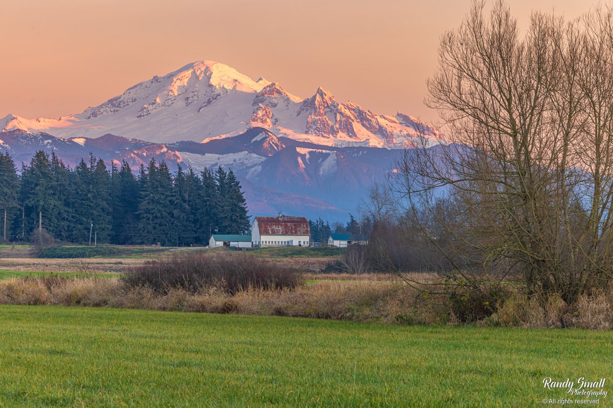 RandySmall's tweet image. WOW! Finally, Mt. Baker makes its majestic appearance and tonight was an absolutely gorgeous view with a pinch of alpenglow!

Photo was taken near Ferndale, WA. #mtbaker #whatcomcounty #wawx #pnw