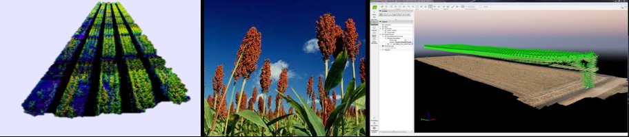 Emma Mace (@emmaomics) on Twitter photo JOB VACANCY
A great opportunity to work as a Senior Research Fellow (crop physiology) with a supportive and successful sorghum research team in beautiful Queensland.
<a href="/QAAFI/">QLD Alliance for Agriculture & Food Innovation</a> <a href="/UQ_News/">UQ News</a>
<a href="/SorgGuy/">David Jordan</a>
Application details in link below:
Tinyurl.com/4mbha5hf JOB VACANCY
A great opportunity to work as a Senior Research Fellow (crop physiology) with a supportive and successful sorghum research team in beautiful Queensland.
<a href="/QAAFI/">QLD Alliance for Agriculture & Food Innovation</a> <a href="/UQ_News/">UQ News</a>
<a href="/SorgGuy/">David Jordan</a>
Application details in link below:
Tinyurl.com/4mbha5hf