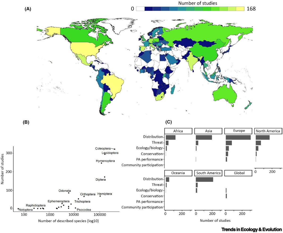 Shawan Chowdhury (শাওন চৌধুরী) tweet media