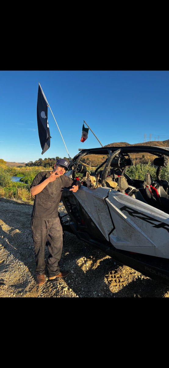 Qué no te espante mi actividad🐶