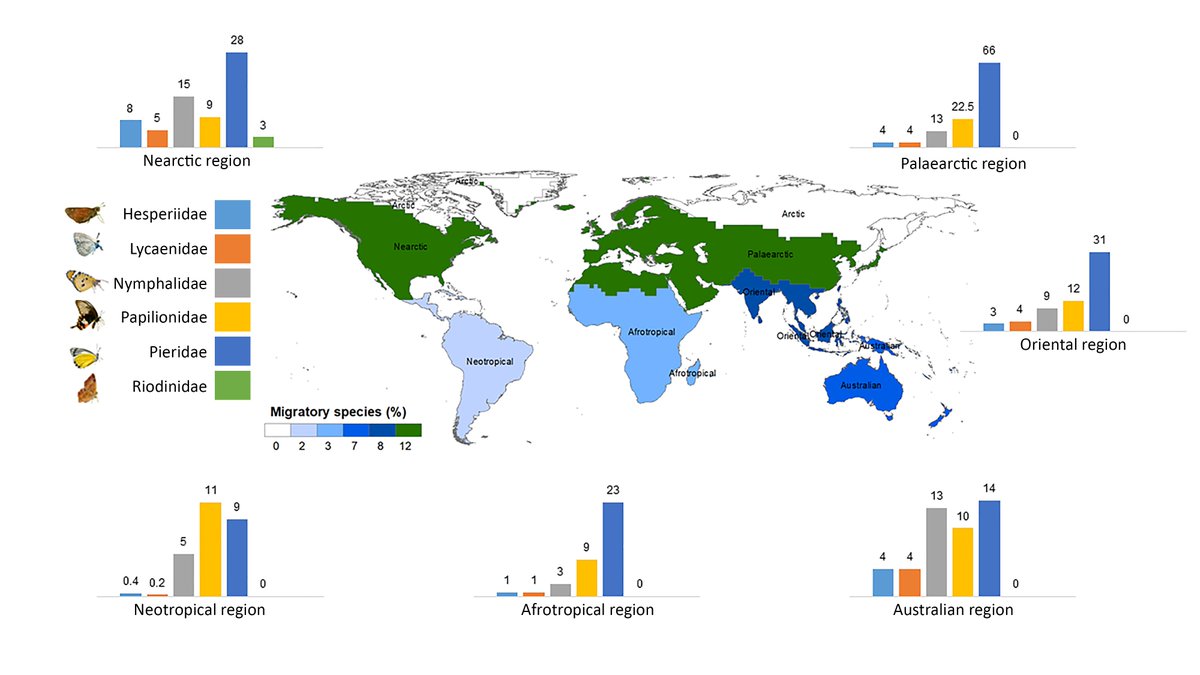 Shawan Chowdhury (শাওন চৌধুরী) tweet media