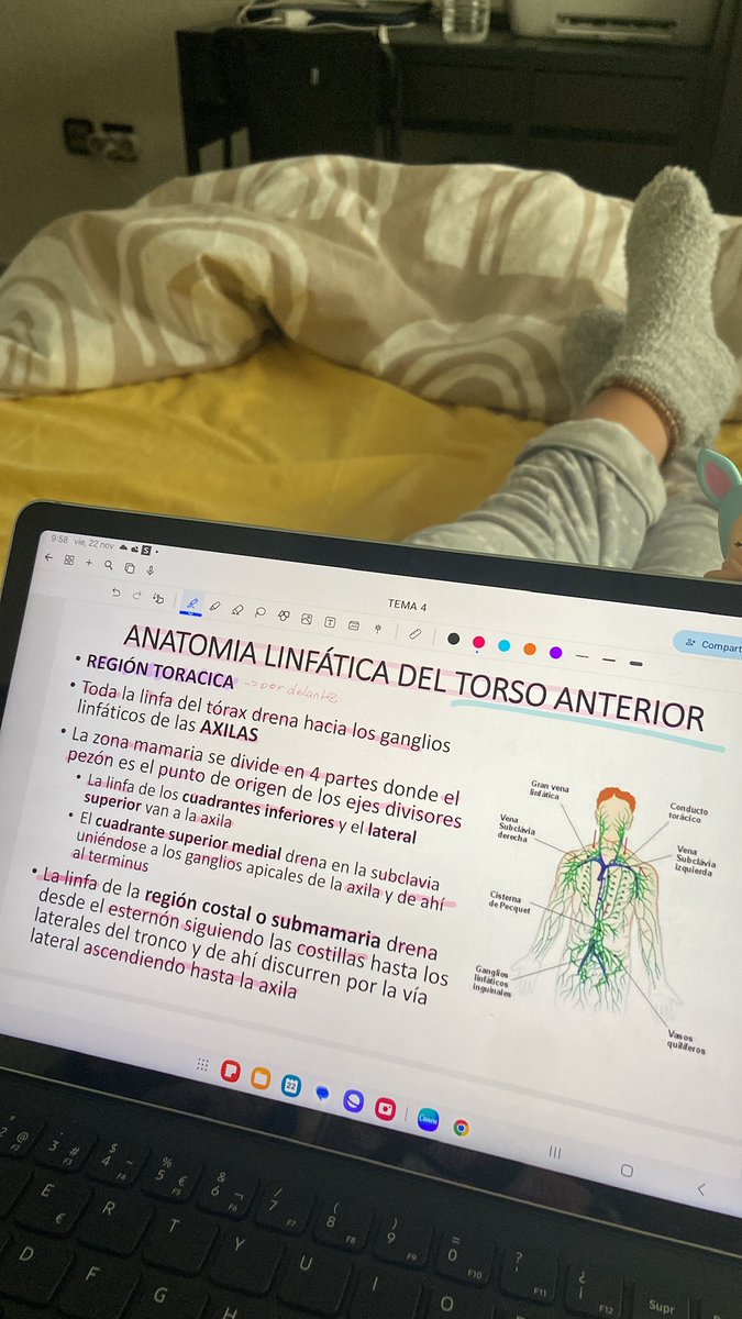 me graduó en 3 meses y voy a trabajar en lo q me gusta 😭