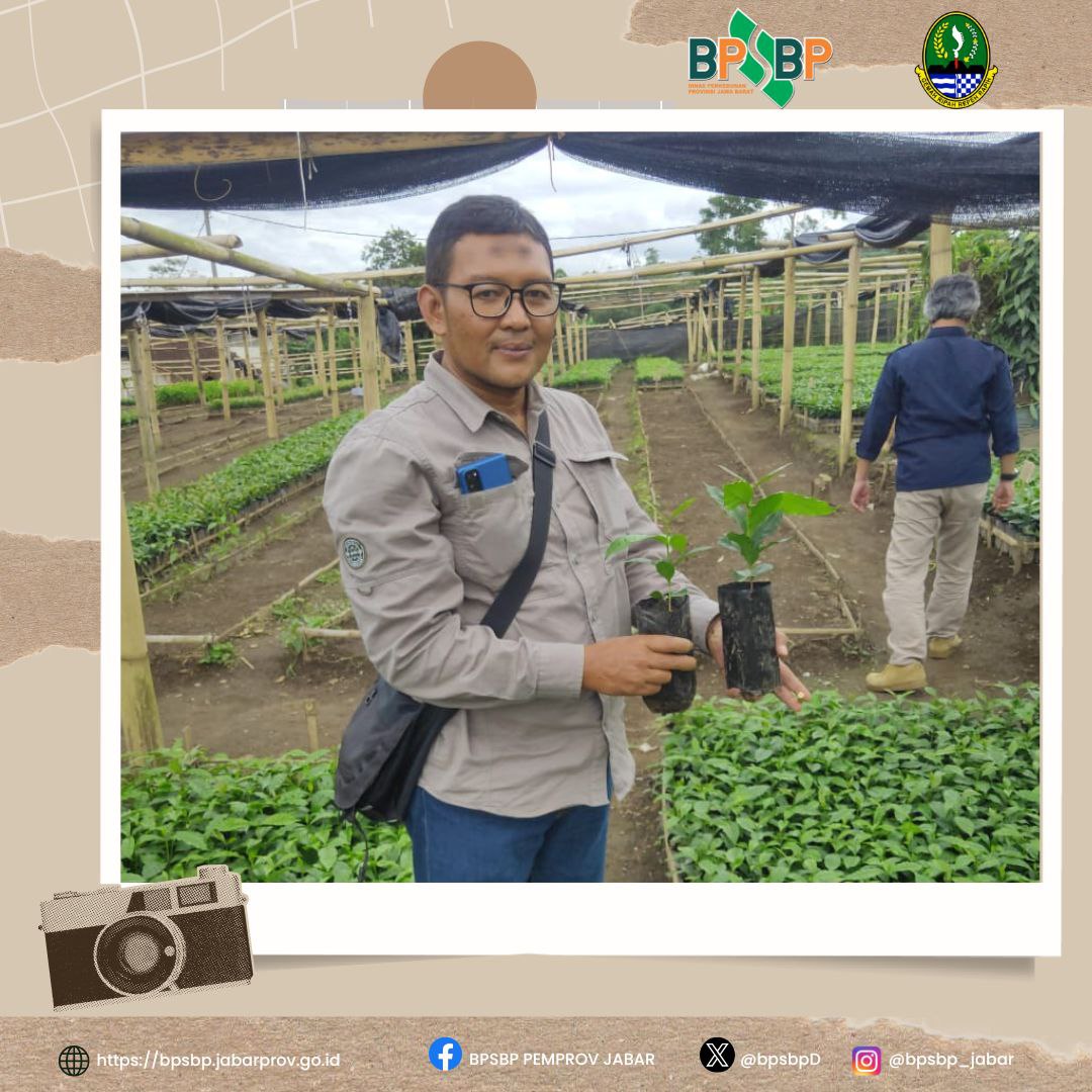 Selamat Pagi#wargibun

 Pengawasan Hasil Pemasangan Label Benih Kopi Arabika Varietas S 795 di Kabupaten Garut! 

BPSBP melaksanakan pengawasan hasil pemasangan label benih kopi Arabika varietas S 795 pada produsen benih CV. Ilham Karya Mandiri di Kabupaten Garut.