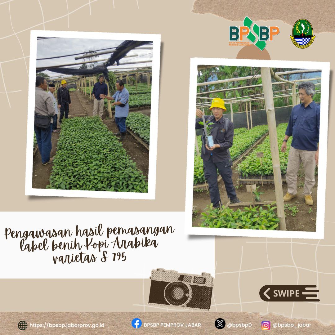 BPSBP.DisbunJabar tweet media