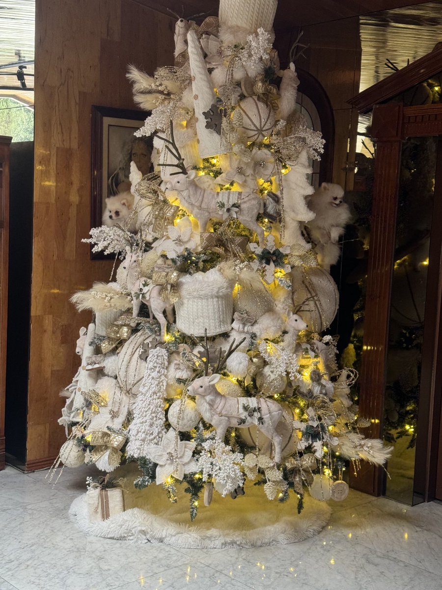 Ya tomaron su lugar Capo y Antonio. Les comparto este día feliz. Deseo lo mismo para ustedes felicidad amor y paz. 🙏