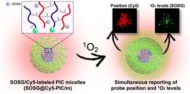 Cabral_Lab's tweet photo. Check out our recent publication!

Dual-labelled polymeric micelles for singlet oxygen reporting in biological systems
https://t.co/3kNeeeAIdL https://t.co/JVC5QeNacl
