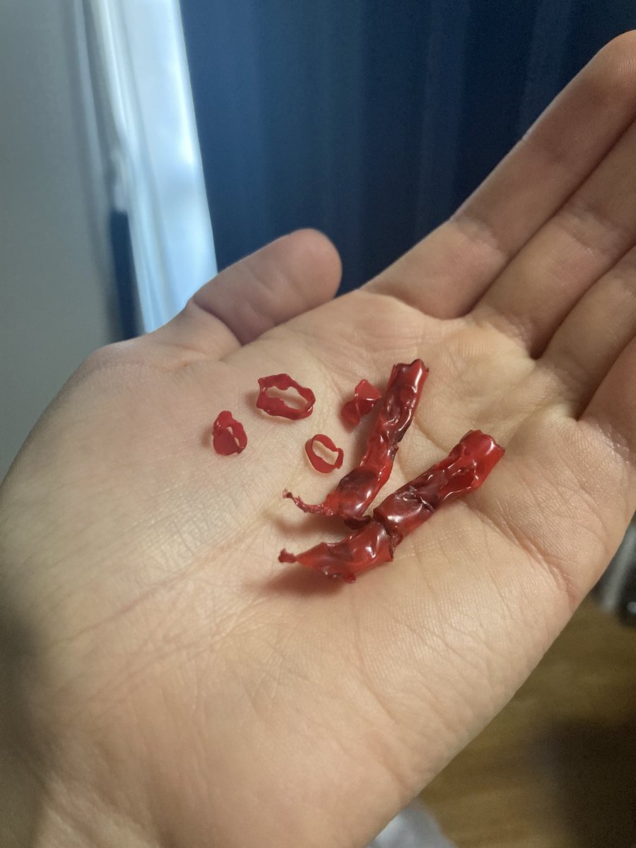 色々してたら鷹の爪みたいなのできた🌶️
