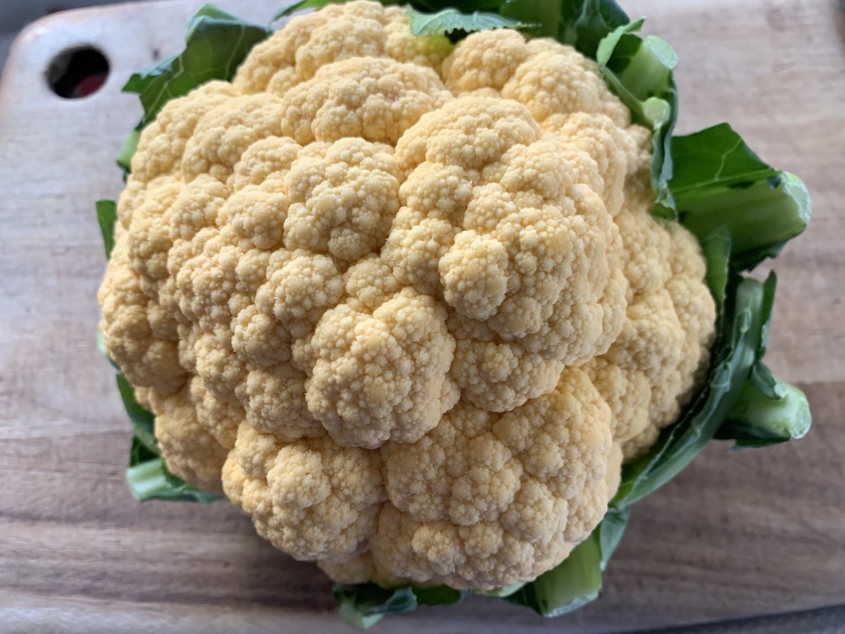 mococo321's tweet photo. 【12月が旬の野菜】

かぶ、エリンギ、カボチャ、カリフラワー、キャベツ、水菜、クワイ、ゴボウ、小松菜、里芋、サツマイモ、春菊、セロリ、大根、チンゲン菜、長芋、長ネギ、人参、白菜、ブロッコリー、ほうれん草、ユリ根、レタス、レンコン、芽キャベツなど

冬のお野菜が出てきましたね。ﾎｯｺﾘ https://t.co/lNQCj1uoqV