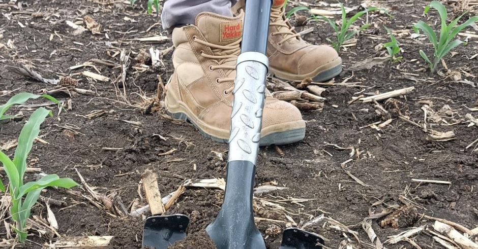 Want All the Dirt for Spring '24?
shorter.me/QGNPB
Click here ☝️to find out about

- Soil gap analysis for NSW
- Aus soil &amp; land survey field handbook
- the genetic off switch for N fixation in legumes
+ more! 

Subscribe here to stay up to date: shorter.me/qTknp