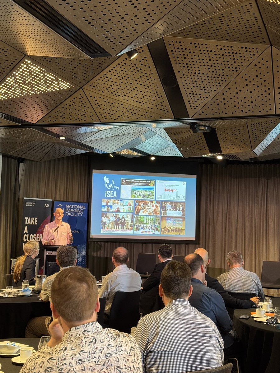 Australian National Imaging Facility tweet media