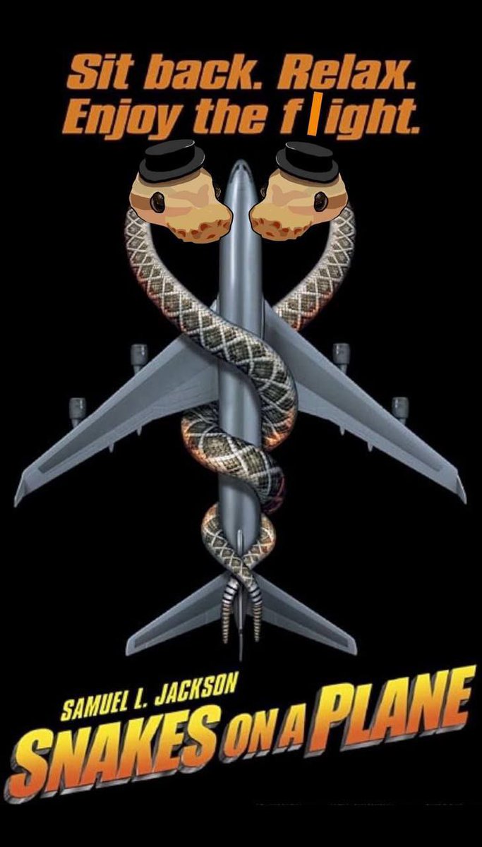 waitandsssss's tweet photo. @dubzyxbt Because you haven’t buy $SSSSS yet… Rocket is coming🐍🚀 https://t.co/SetQjmKE9W