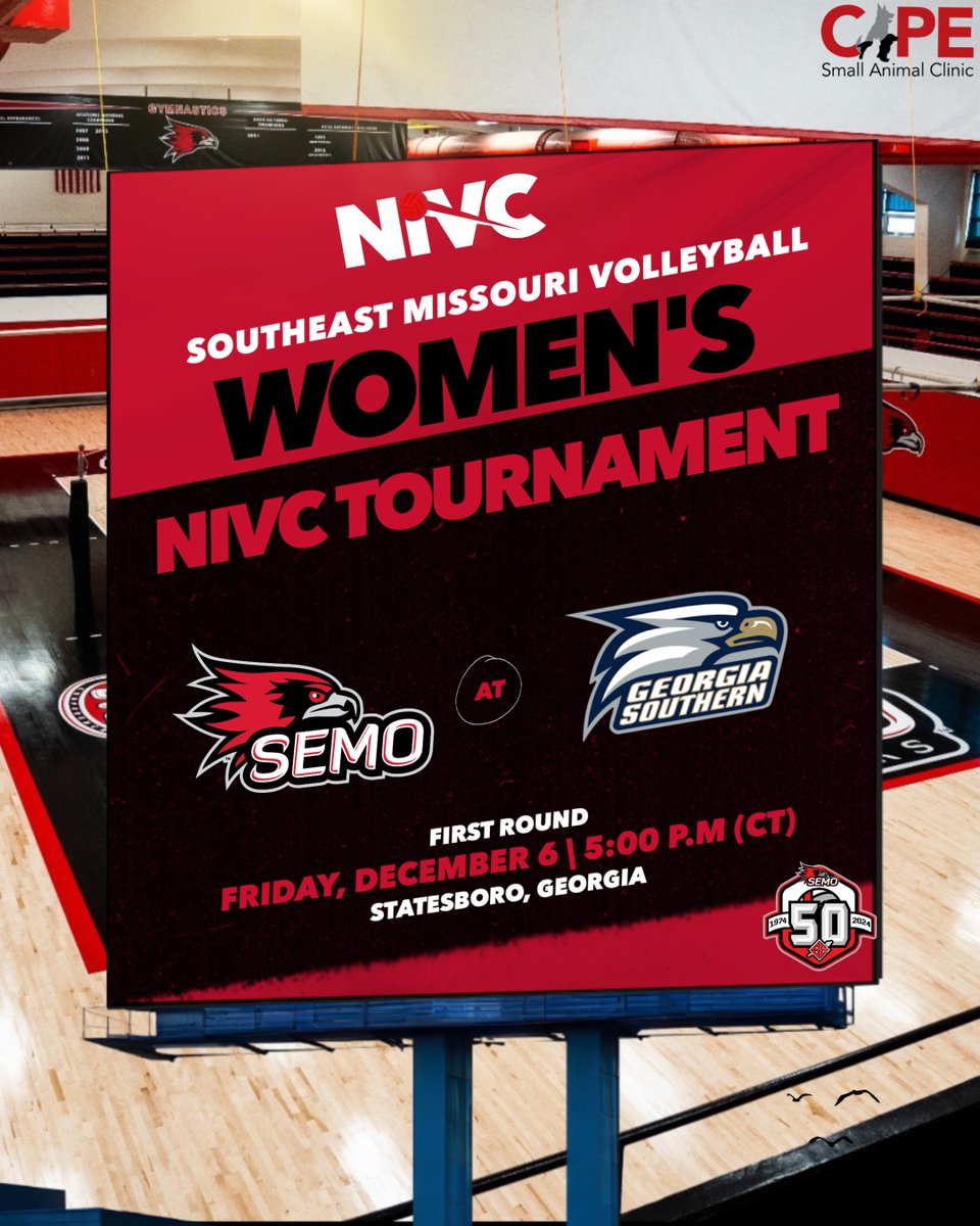 SEMO Volleyball tweet media
