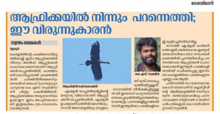 manojkmohan's tweet photo. African Openbill, Observed From Our Thrissur Kanjani Kole Wetlands, is now officially an avifauna of Kerala &amp; India.
Subin KS @kolebirders 
https://t.co/XW9Eo20jOv
@birdcountindia @IndiAves @indianBIRDSJrnl https://t.co/x9B8up04Fs