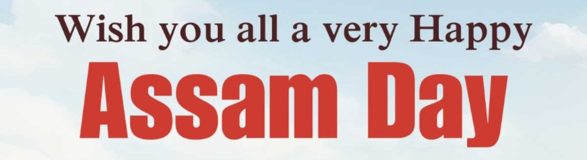 sorted_ai's tweet image. 