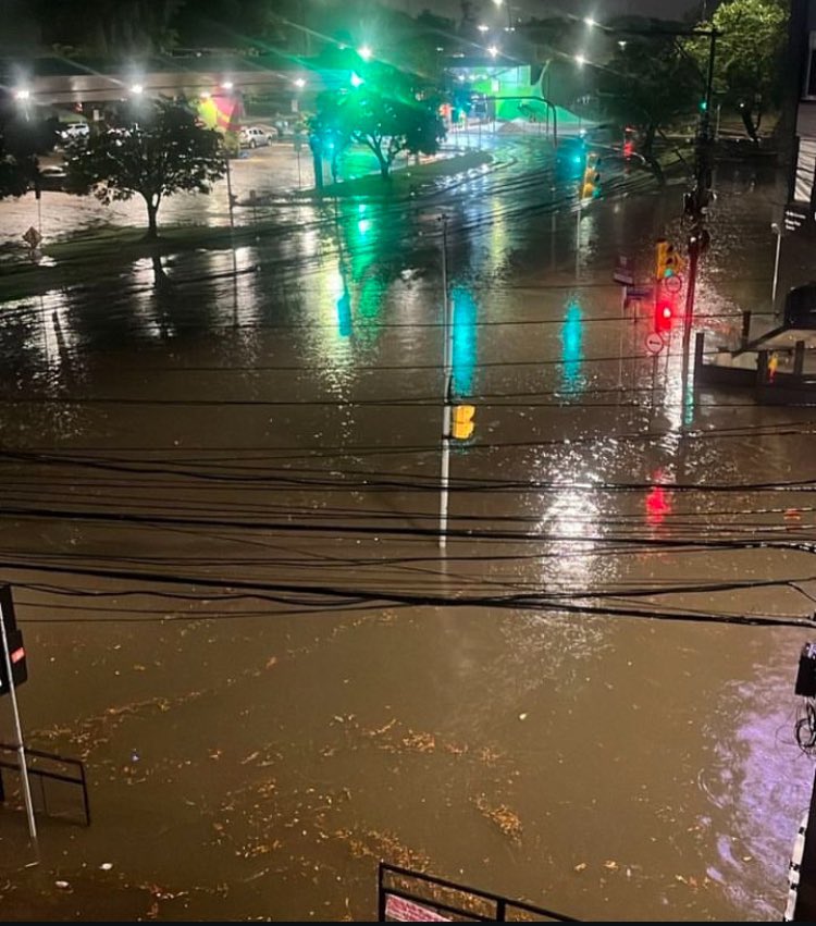 eunatashapoa's tweet photo. Bairro Menino Deus/ PORTO ALEGRE. 

A não limpeza das bocas de lobo e o descaso com a enchente de maio seguem se repetindo @SebastiaoMelo. Até quando o povo vai pagar a conta? https://t.co/5k8TxNrP9W