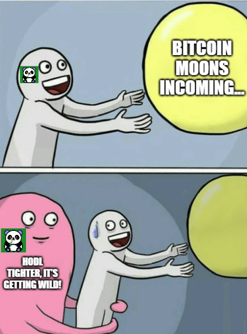 #Bitcoin is entering the banana zone 🍌
🐼🍌