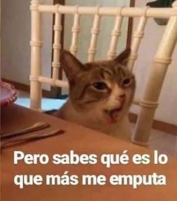 susana medio que ya estaba para cerrar la nota y wanda así