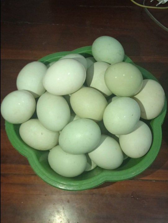R_Ayu_DJ's tweet photo. Gaes, jual telur bebek mentah, dijamin fresh hasil ternak sendiri. Dom sidoarjo ya.. harga 2500 per butir, https://t.co/rxPWOnbUPB