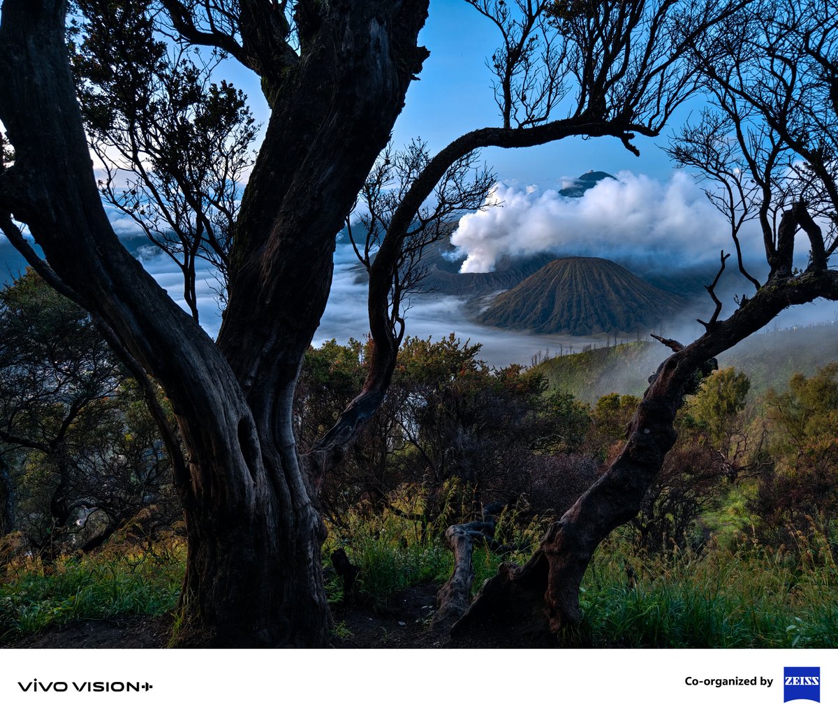 Vivo_GLOBAL's tweet image. Discover Volcanoes through #Telephoto &amp;amp; #Macro Photography!​

Capture the raw beauty of volcanoes, from distant views to rising smoke.​

📸 Join the vivo VISIONPlus Mobile PhotoAwards 2025 and submit your stunning shots on our official website now!​

#Shotonvivo #vivoVISIONplus