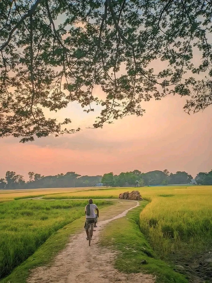 सभी दोस्तों को सुबह का प्रणाम 
🙏🌞आप सभी का दिन शुभ हो 🌞🙏
