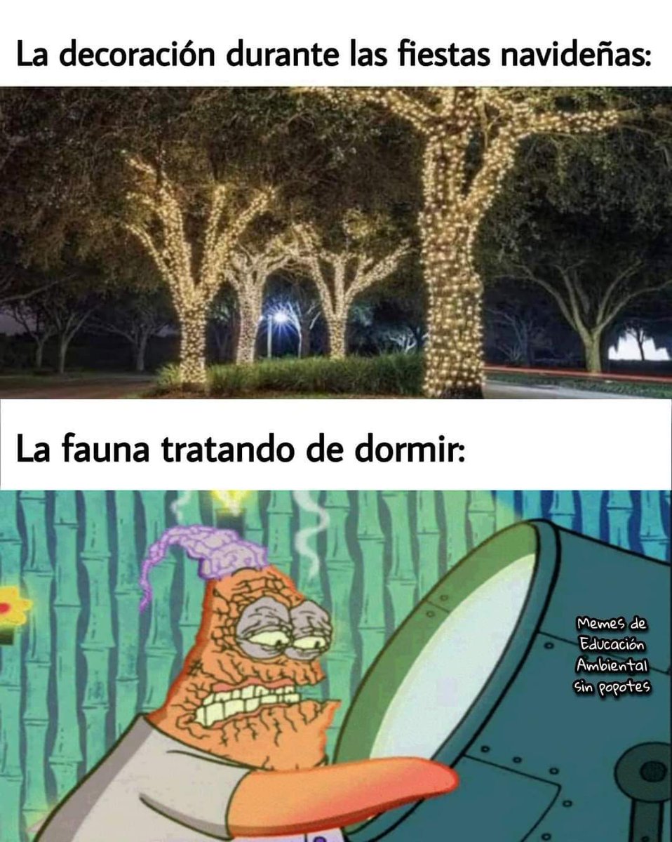 Ana R. Quista Ⓐ🏴 (xHx)🎈 (@vivalanarquia) on Twitter photo 