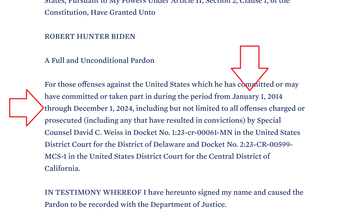 wisconsin_now's tweet image. This is a blanket pardon that spans 2014-2024. Meaning it&apos;s not about the gun charge. It&apos;s about Burisma, Ukraine, China, bribery, and the &quot;big guy.&quot;