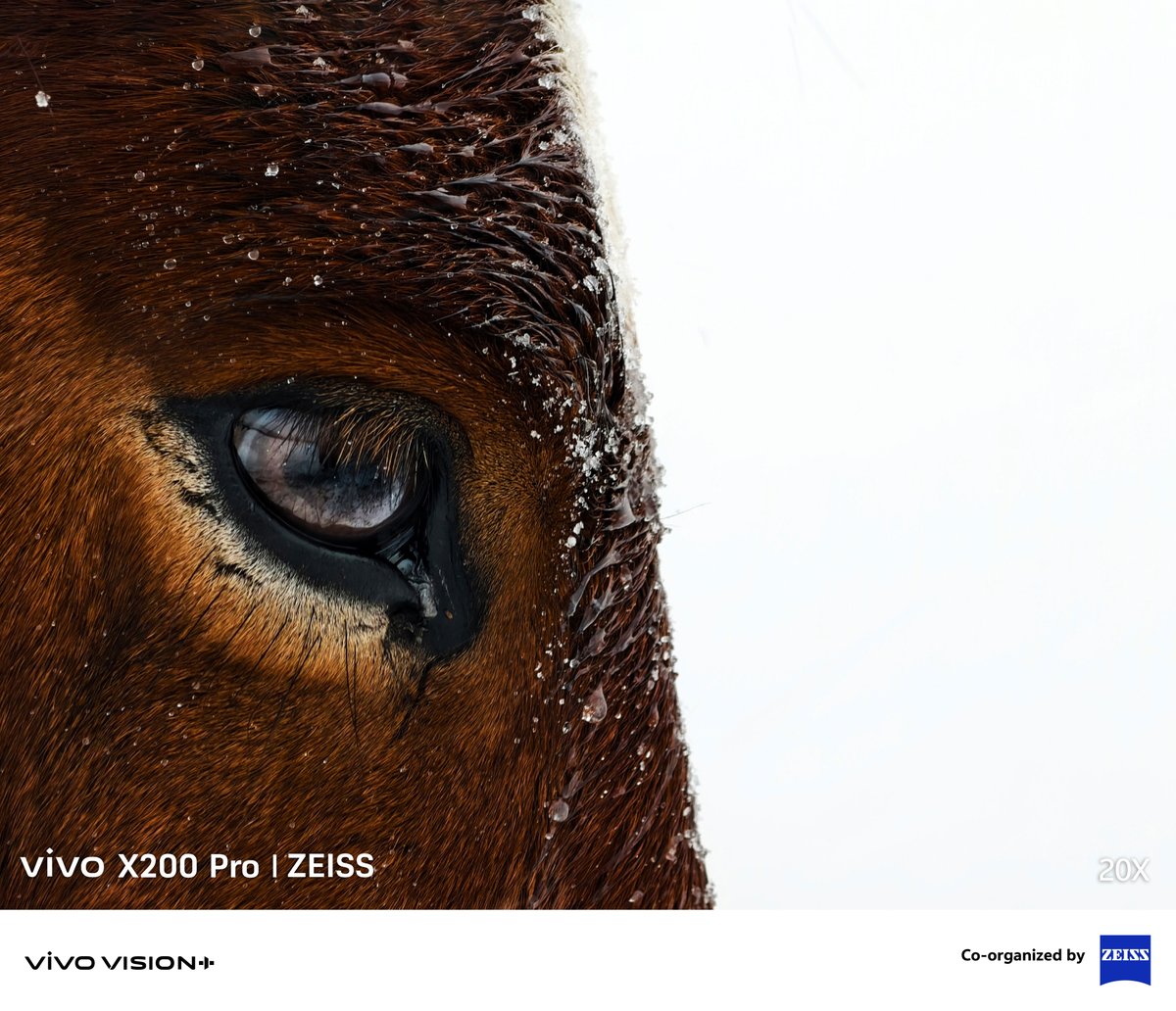 Vivo_GLOBAL's tweet image. #Telephoto and #Macro photography reveal the world in stunning detail—sharp, vivid, and full of emotion. 🌟​

Share your perspective in the vivo VISIONPlus Mobile PhotoAwards 2025. Submit your Telephoto &amp;amp; Macro shots on our official website!​

#Shotonvivo #vivoVISIONplus