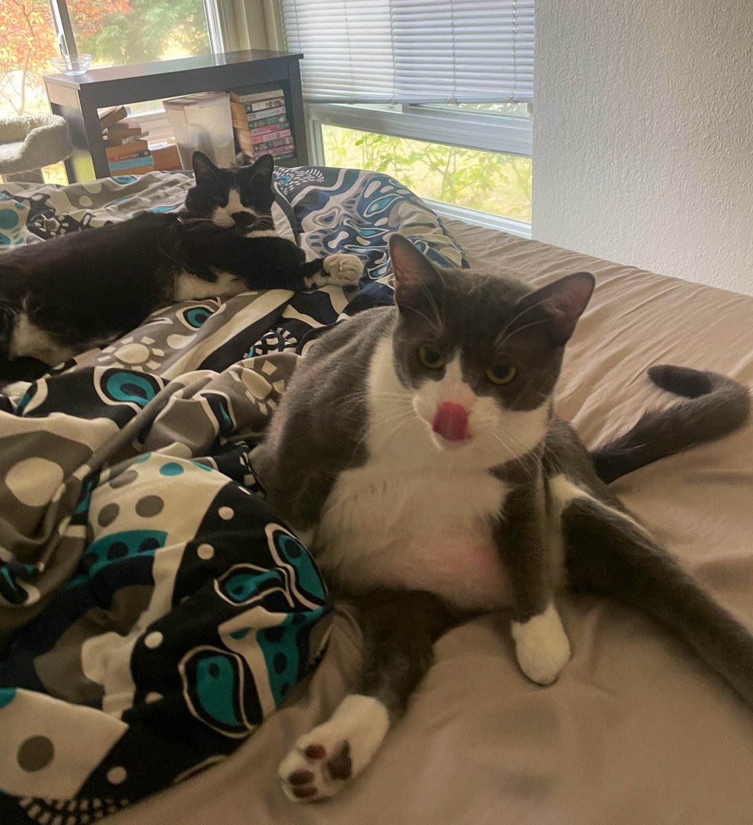 Clee Sip Sunday BABY!!