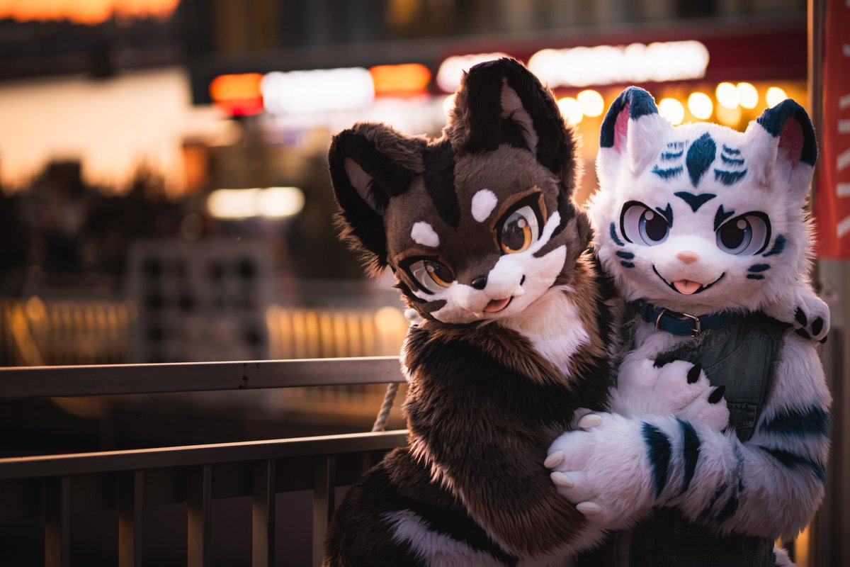 세빛섬에서 시작되는 별빛 속 여정
꿈결처럼 잔잔히 흐르는 빛의 선율 

🐺 : <a href="/Krano_aufseher/">루멘 🐺</a> 
📸 : <a href="/KFUR_OFFICIAL/">K-FUR</a> 

#Furlight