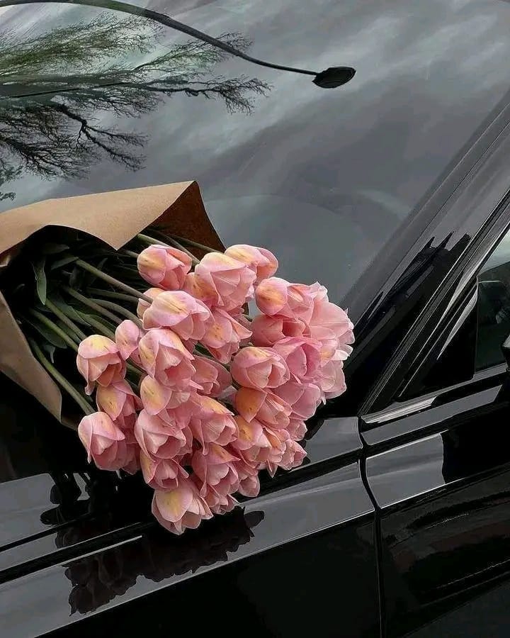 #صباح_الاجواء_الحلوه

صباحُ الخير🩵 
ثمَّ اللهُمَّ بلوغًا مُزهِرًا،ووصولًا مُشرقًا،وحياةً هانئة✨