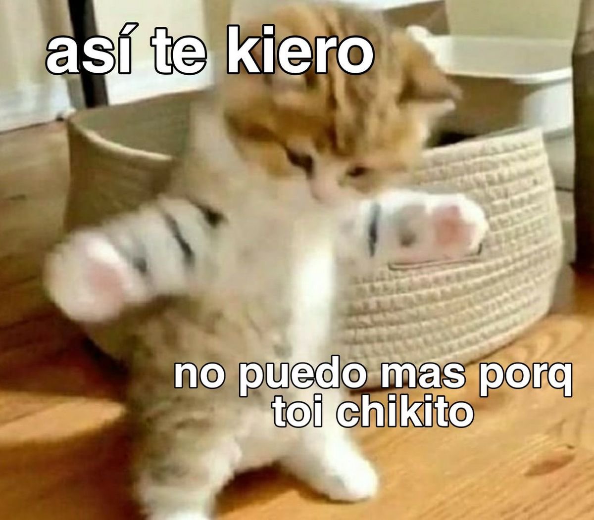 GatitoDepresion's tweet photo. https://t.co/6oHaMSUYRM