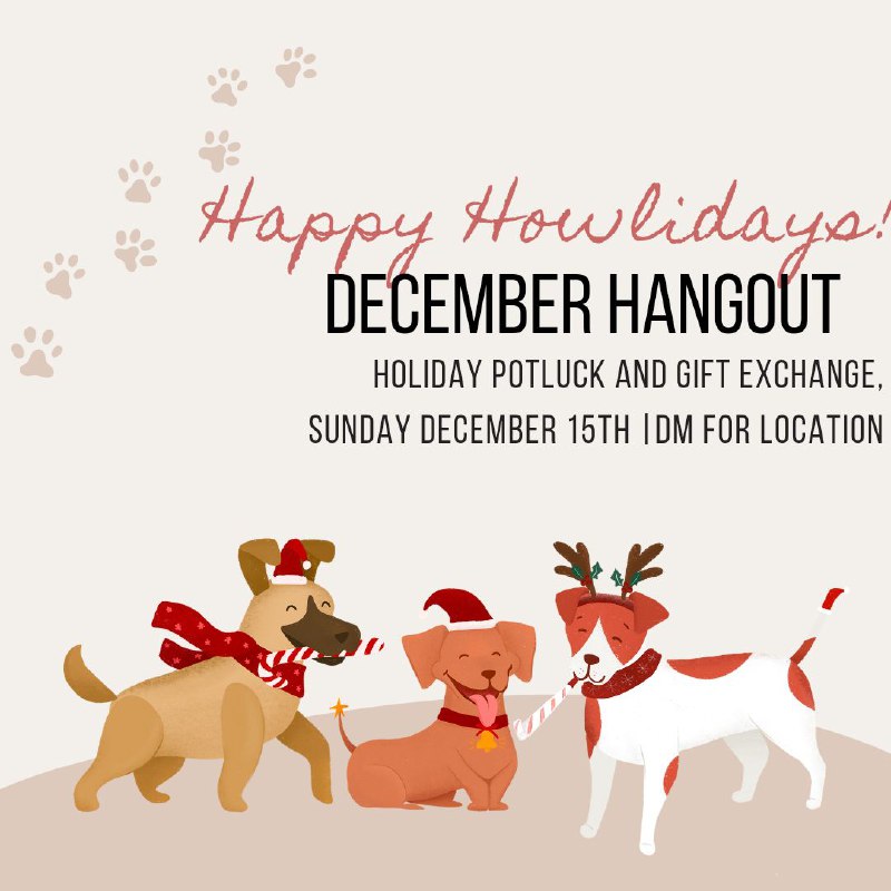 CapitalPups's tweet photo. The Ottawa Pet Play community invites you to a festive Holiday Hangout! Let’s wrap up the year with joy, laughter, and holiday cheer. 

📅 Date: Sunday, December 15th
🍽️ What to Expect: A cozy potluck—bring your favorite dish to share!
#PupPlay #PetPlayCommunity https://t.co/bAobwEVoHt