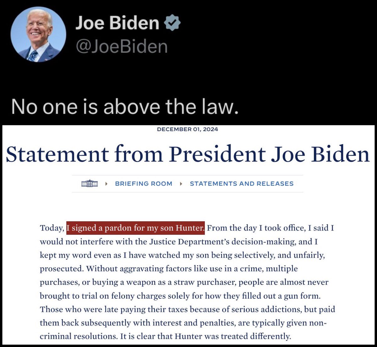 The Rabbit Hole tweet media