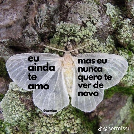 Frases (@inspireipoesia) on Twitter photo 