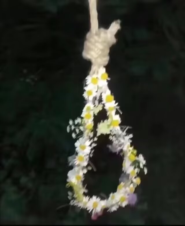 媒体预览