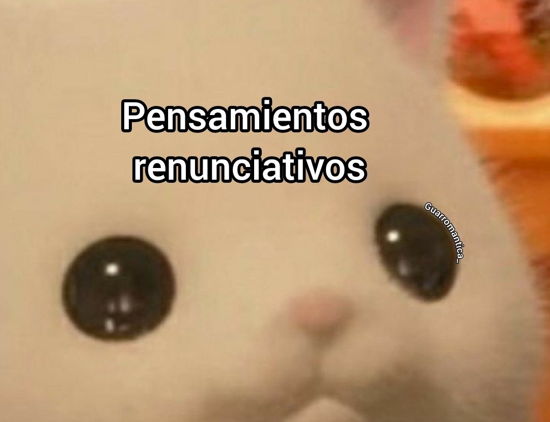 Yo, cada domingo por la noche: