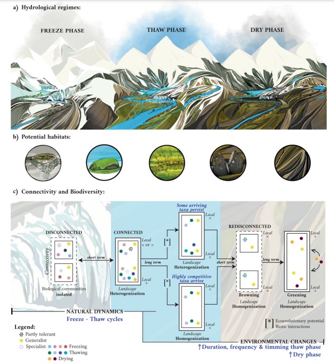 Enhorabuena a la #biodiversa P.Hurtado por el artículo publicado en <a href="/GlobalChangeBio/">Global Change Biology</a> "(Dis)connecting the Globe Through Water-Driven Ecological and Biogeochemical Corridors in the Polar-Alpine Biome" junto <a href="/asundelosrios/">Asuncion</a> y <a href="/RebecaAdr/">Rebeca Arias-Real</a> <a href="/URJCcientifica/">URJCcientifica</a>   onlinelibrary.wiley.com/doi/10.1111/gc…