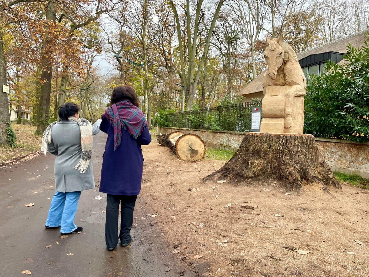 Yvelines : à Maisons-Laffitte, un chêne tricentenaire « immortalisé » en œuvre d’art
➡️ l.leparisien.fr/amta