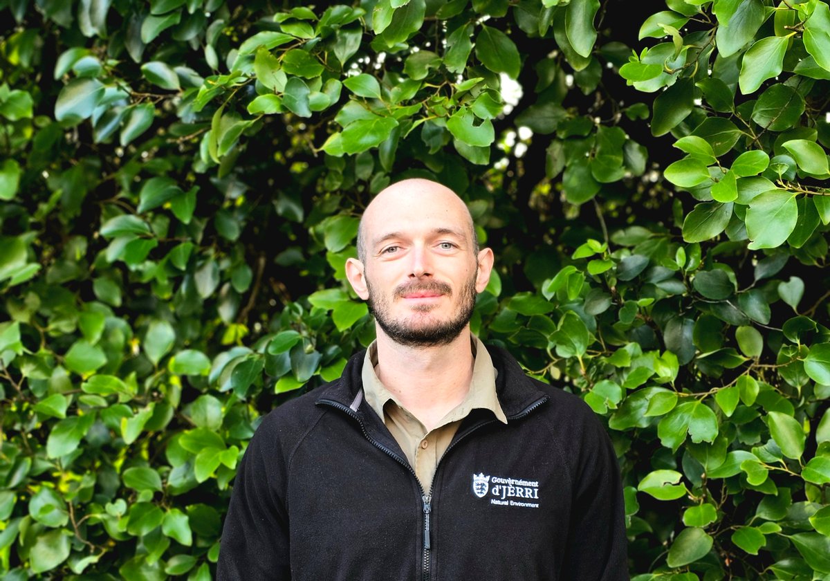 EPPO OEPP tweet media