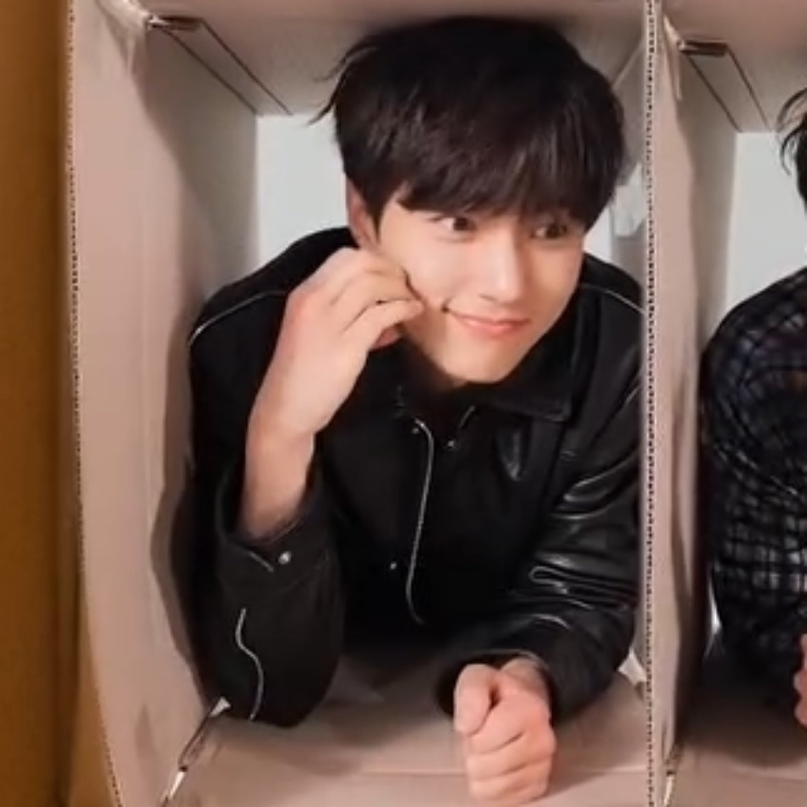 gyul_313's tweet photo. 우리집 고영이 박스에 넣었더니 애교냥 📦 https://t.co/MR15UqPTv9