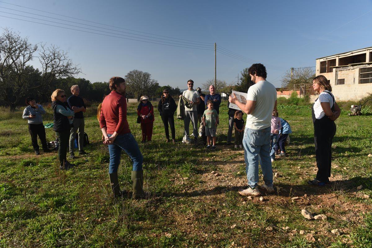 Diario_de_ibiza's tweet image. 🦋 El jardín de las mariposas de Ibiza 🦋

📸 IBZIA PRESERVATION