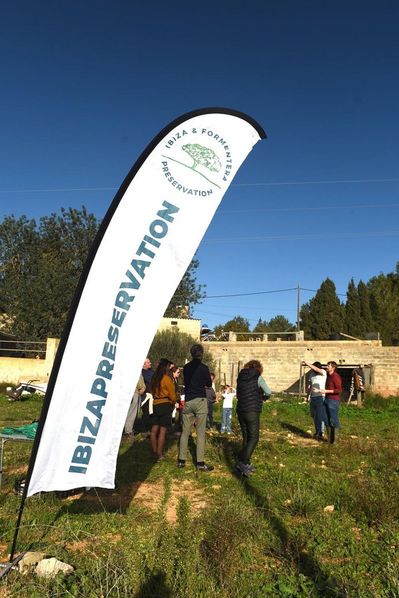Diario_de_ibiza's tweet image. 🦋 El jardín de las mariposas de Ibiza 🦋

📸 IBZIA PRESERVATION