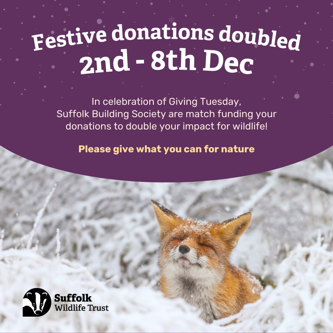 SuffolkWildlifeTrust (@suffolkwildlife) on Twitter photo In celebration of #GivingTuesday, <a href="/SuffolkBuildSoc/">Suffolk Building Society</a> have generously donated £5,000 to our Christmas Gift Appeal appeal PLUS they are offering a further £5,000 of match funding to double your donations! 🌟
Please give what you can for nature 👇
suffolkwildlifetrust.org/appeals/christ… In celebration of #GivingTuesday, <a href="/SuffolkBuildSoc/">Suffolk Building Society</a> have generously donated £5,000 to our Christmas Gift Appeal appeal PLUS they are offering a further £5,000 of match funding to double your donations! 🌟
Please give what you can for nature 👇
suffolkwildlifetrust.org/appeals/christ…